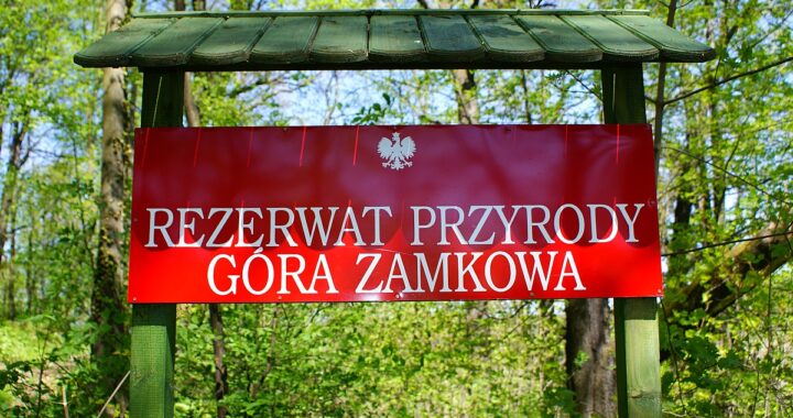Rezerwat Przyrody Góra Zamkowa