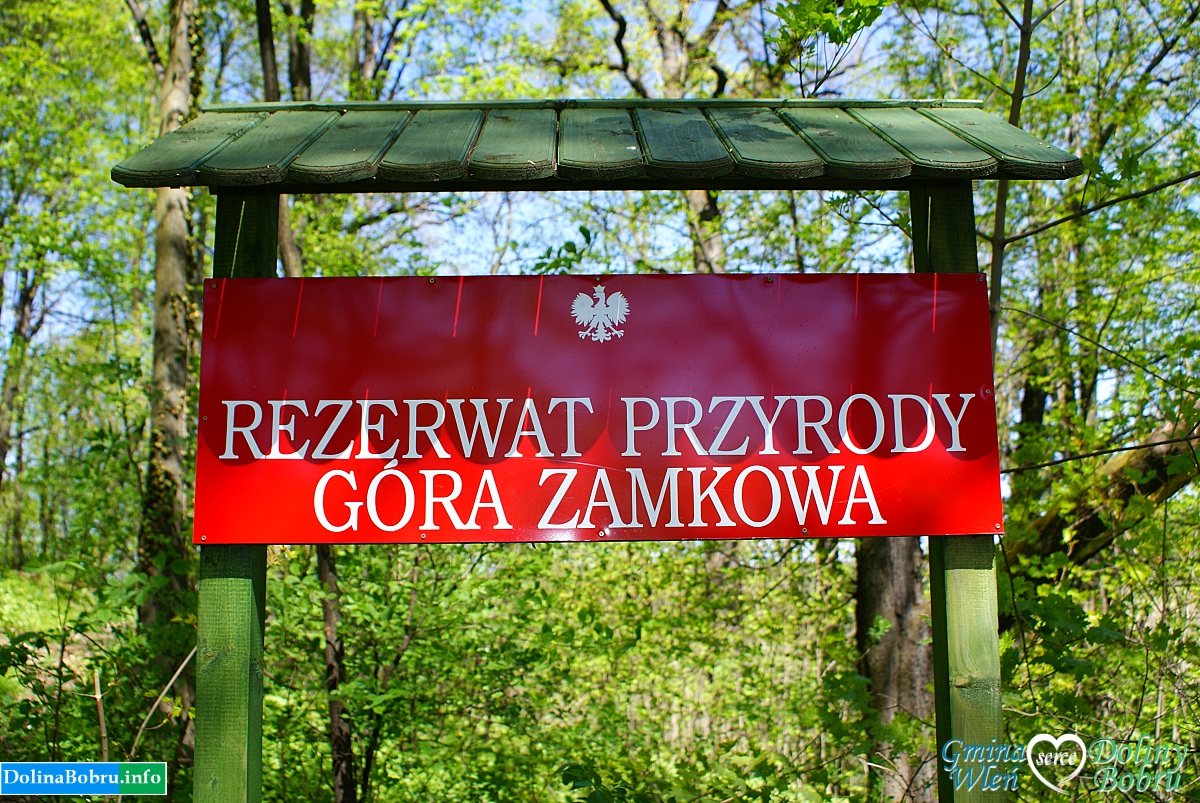 Rezerwat Przyrody Góra Zamkowa
