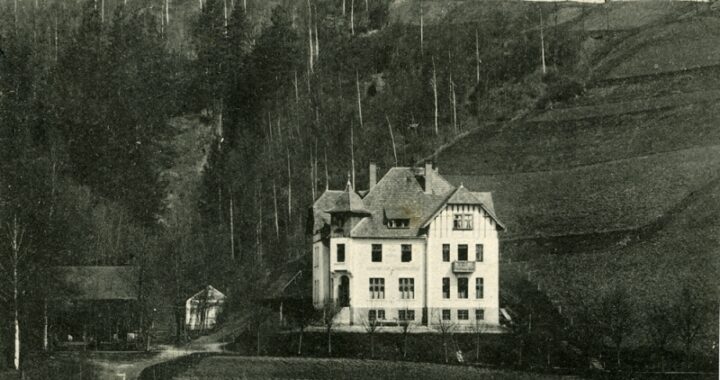 Waldschlösschen Lähn - Pensjonat Leśny Dwór we Wleniu